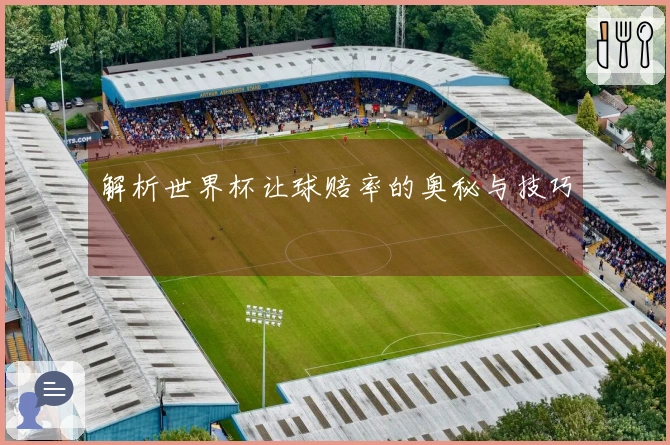 解析世界杯让球赔率的奥秘与技巧