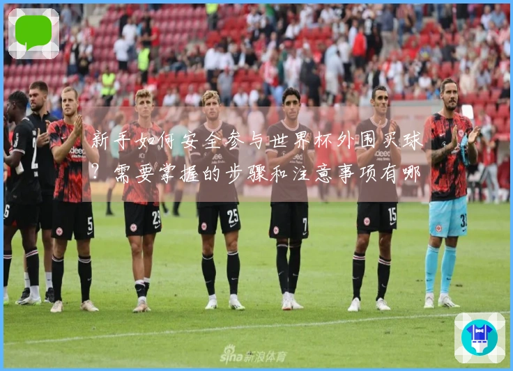 新手如何安全参与世界杯外围买球？需要掌握的步骤和注意事项有哪些