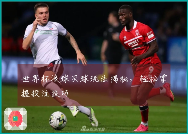 世界杯滚球买球玩法揭秘，轻松掌握投注技巧