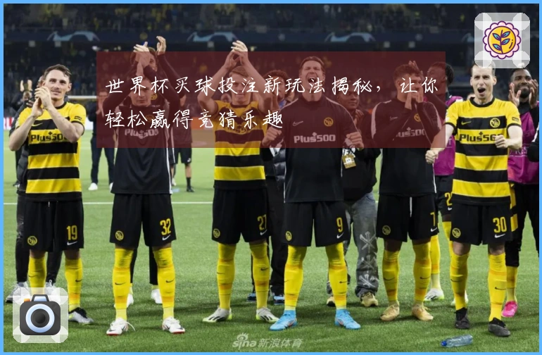 世界杯买球投注新玩法揭秘，让你轻松赢得竞猜乐趣