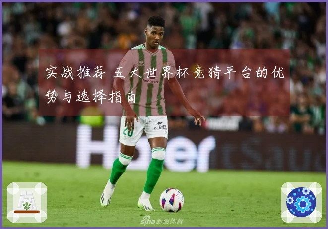 实战推荐 五大世界杯竞猜平台的优势与选择指南