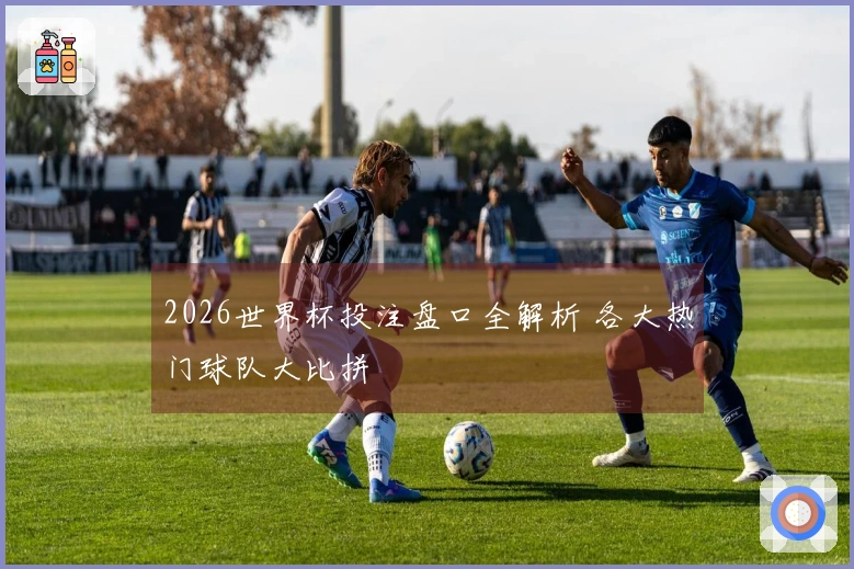 2026世界杯投注盘口全解析 各大热门球队大比拼
