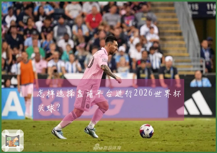 怎样选择靠谱平台进行2026世界杯买球？