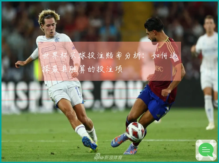 世界杯买球投注赔率分析：如何选择最具胜算的投注项