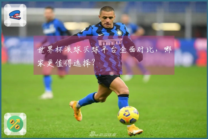 世界杯滚球买球平台全面对比，哪家更值得选择？