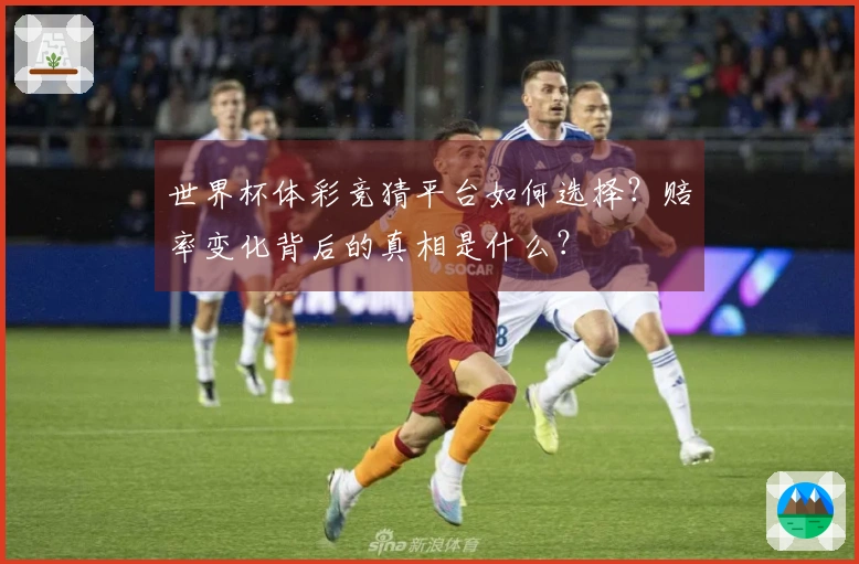 世界杯体彩竞猜平台如何选择?赔率变化背后的真相是什么?