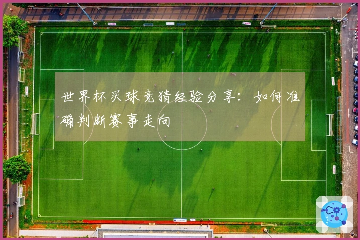 世界杯买球竞猜经验分享：如何准确判断赛事走向