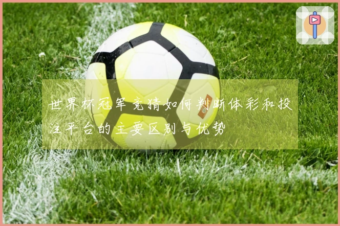 世界杯冠军竞猜如何判断体彩和投注平台的主要区别与优势