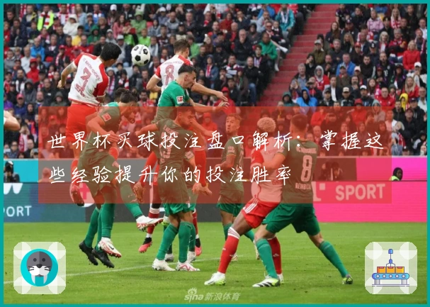 世界杯买球投注盘口解析：掌握这些经验提升你的投注胜率